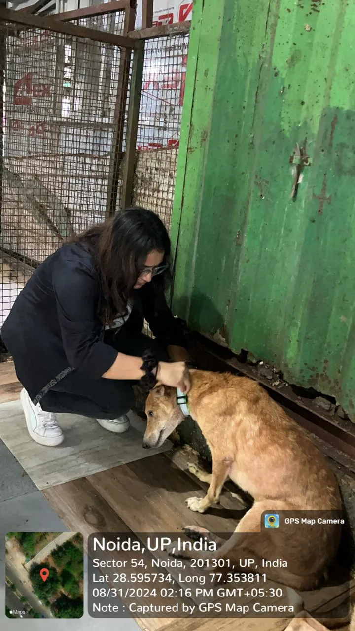 Medha Event at SCMS Noida